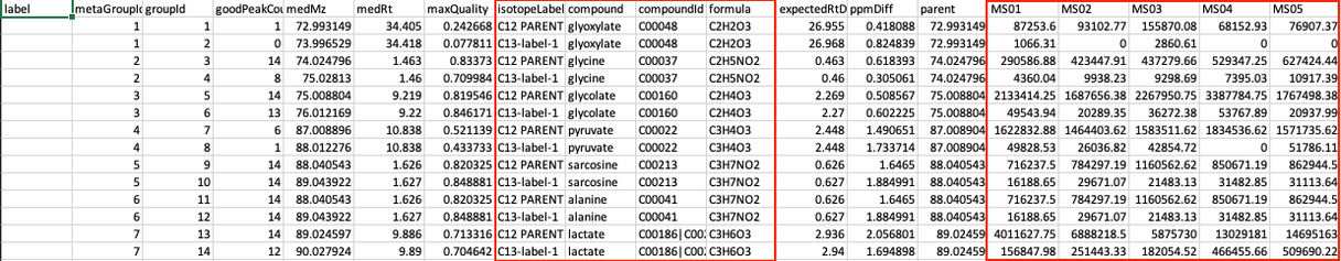 El-MAVEN Output FIle