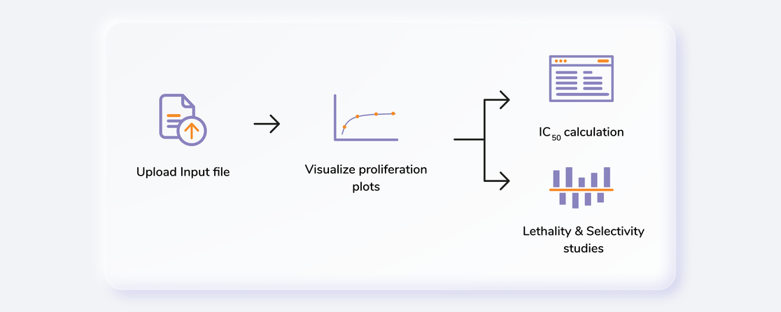 Workflow Schematic