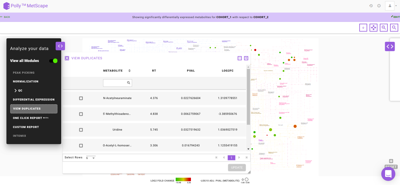 View Duplicates Table