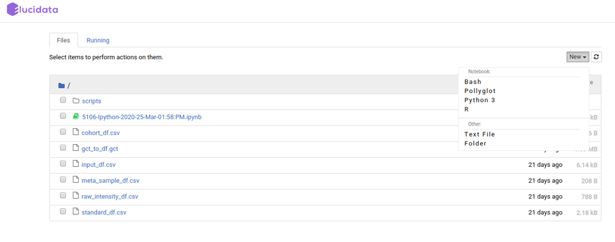 Launching a new notebook using File Explorer