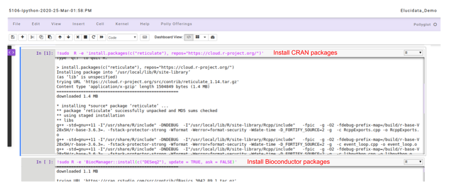 Installing R and Python packages