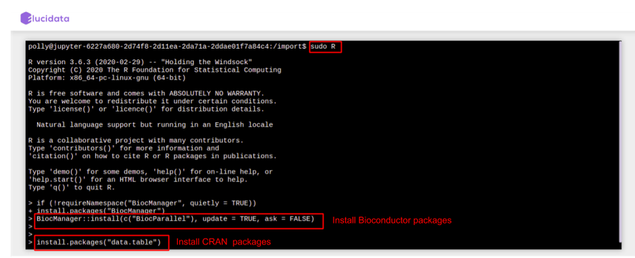 Installing R packages using the Terminal